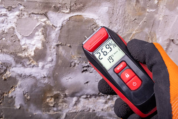 Best Affordable Mold Removal  in Hahira, GA