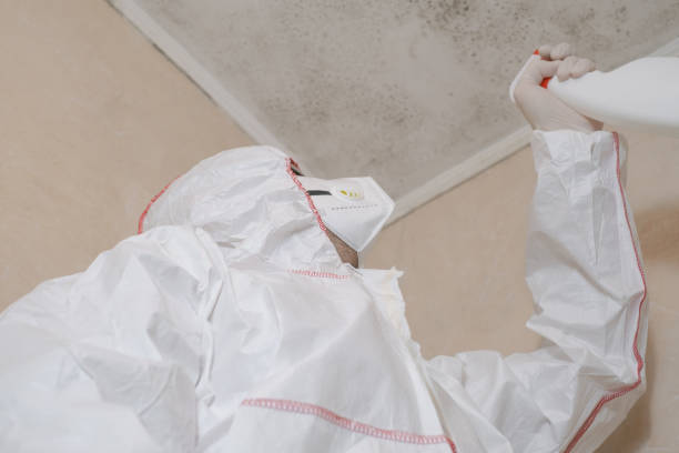 Best Professional Mold Removal  in Hahira, GA