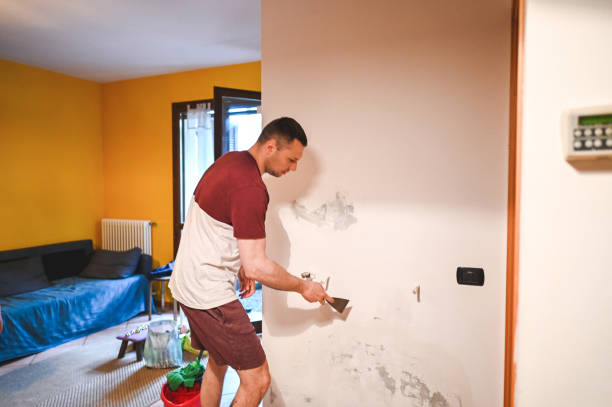 Best Emergency Mold Removal  in Hahira, GA